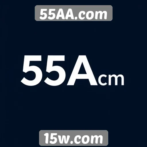 Avaliação da experiência do usuário no 55AA.com